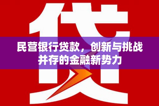 城中民营银行贷款，创新与挑战并存的金融新势力