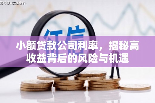 绛县小额贷款公司利率，揭秘高收益背后的风险与机遇