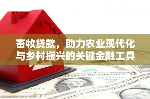 河津畜牧贷款，助力农业现代化与乡村振兴的关键金融工具