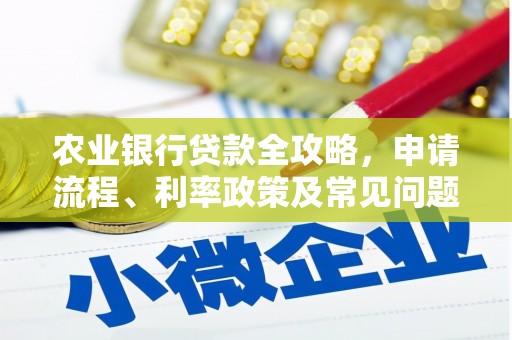 贵定农业银行贷款全攻略，申请流程、利率政策及常见问题解析