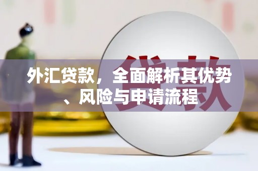 甘谷外汇贷款，全面解析其优势、风险与申请流程