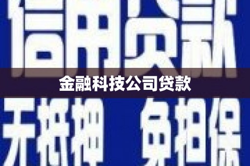 疏附金融科技公司贷款