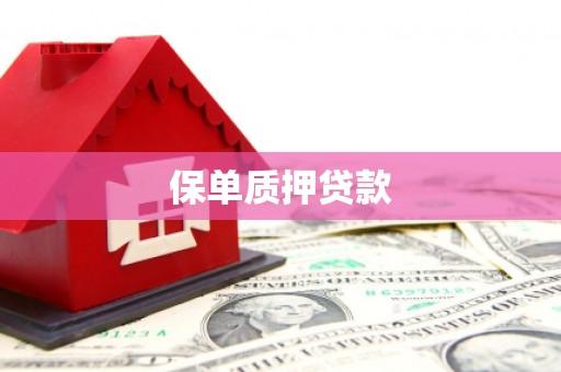 阳曲保单质押贷款