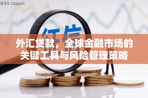 寿丰外汇贷款，全球金融市场的关键工具与风险管理策略