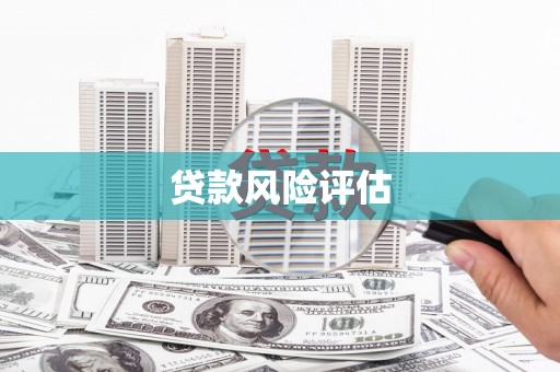 渭城贷款风险评估