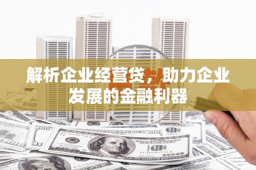 东宝解析企业经营贷，助力企业发展的金融利器