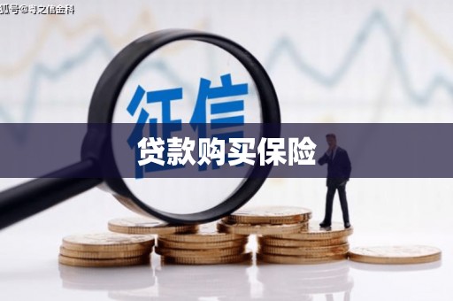 定州贷款购买保险
