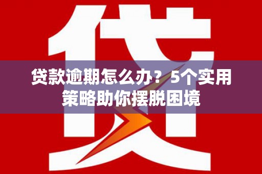 新蔡贷款逾期怎么办？5个实用策略助你摆脱困境