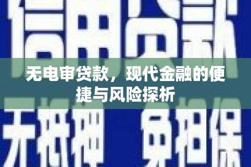 邓州无电审贷款，现代金融的便捷与风险探析