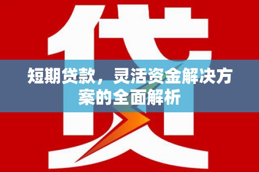 荥阳短期贷款，灵活资金解决方案的全面解析