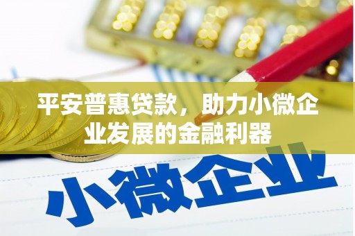 桃江平安普惠贷款，助力小微企业发展的金融利器
