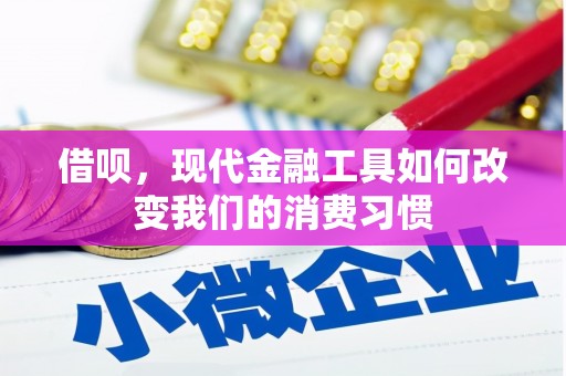 武邑借呗，现代金融工具如何改变我们的消费习惯