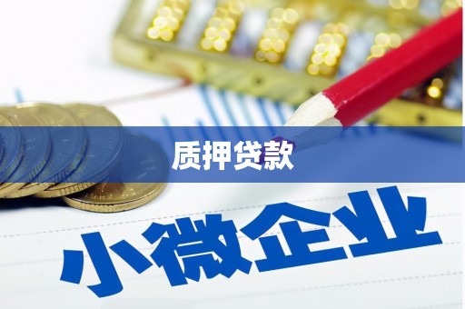 中正质押贷款