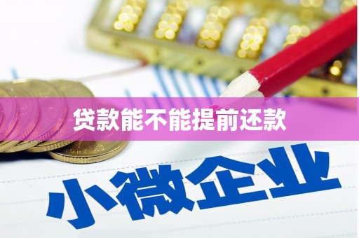 恒山贷款能不能提前还款