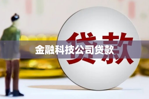 剑阁金融科技公司贷款