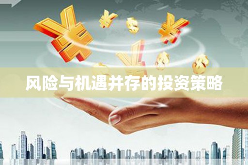 武冈风险与机遇并存的投资策略