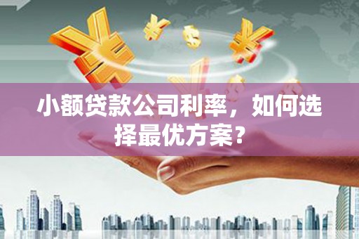 苑里小额贷款公司利率，如何选择最优方案？