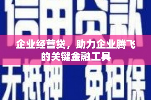 阿巴嘎旗企业经营贷，助力企业腾飞的关键金融工具