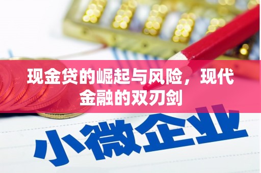 大丰现金贷的崛起与风险，现代金融的双刃剑