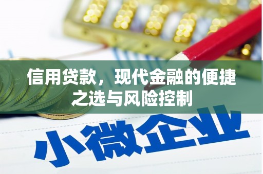 故城信用贷款，现代金融的便捷之选与风险控制