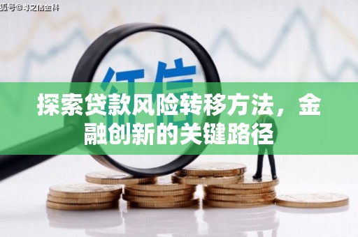 澄迈探索贷款风险转移方法，金融创新的关键路径