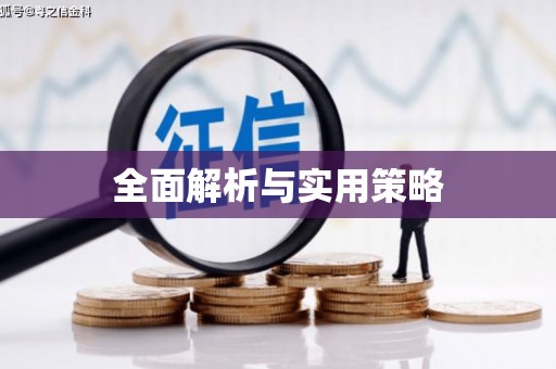 黄南全面解析与实用策略