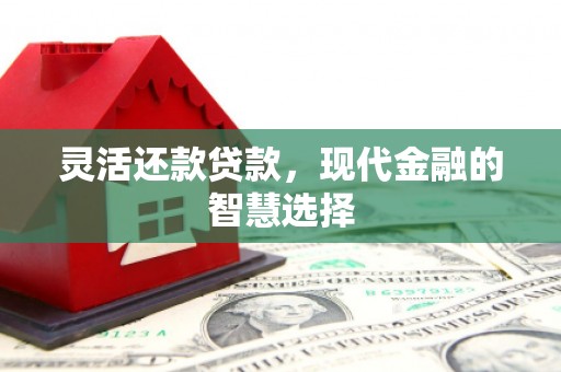 镇远灵活还款贷款，现代金融的智慧选择