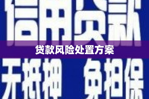 毕节贷款风险处置方案