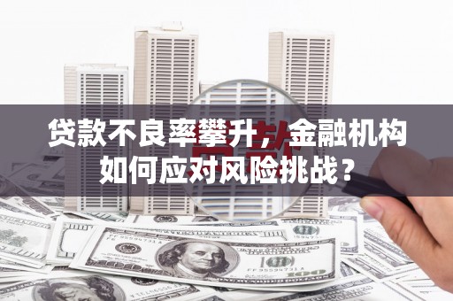 通霄贷款不良率攀升，金融机构如何应对风险挑战？