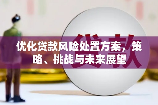 雨城优化贷款风险处置方案，策略、挑战与未来展望