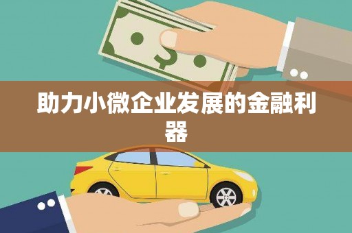 马关助力小微企业发展的金融利器