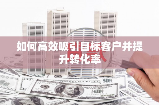 卑南如何高效吸引目标客户并提升转化率