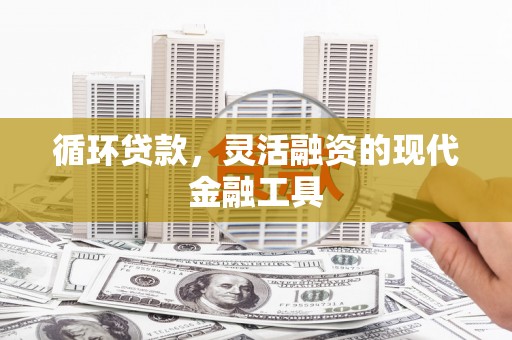 松溪循环贷款，灵活融资的现代金融工具
