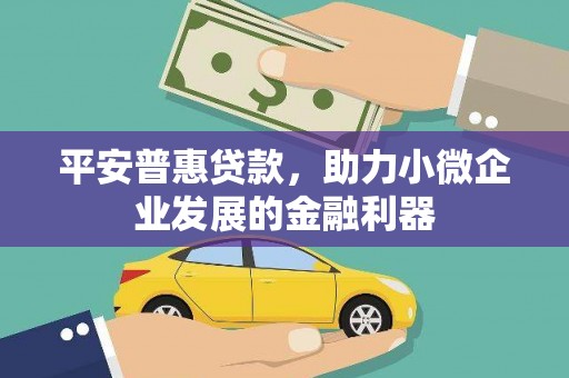 茂林平安普惠贷款，助力小微企业发展的金融利器