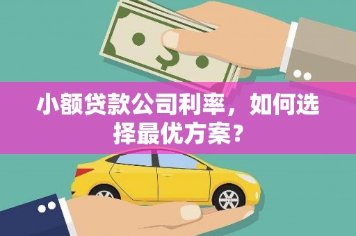 莱山小额贷款公司利率，如何选择最优方案？
