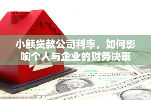 崖州小额贷款公司利率，如何影响个人与企业的财务决策