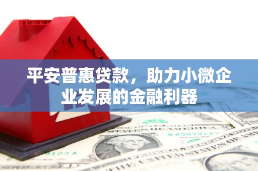 大埔平安普惠贷款，助力小微企业发展的金融利器
