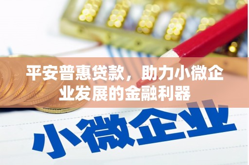 巴楚平安普惠贷款，助力小微企业发展的金融利器