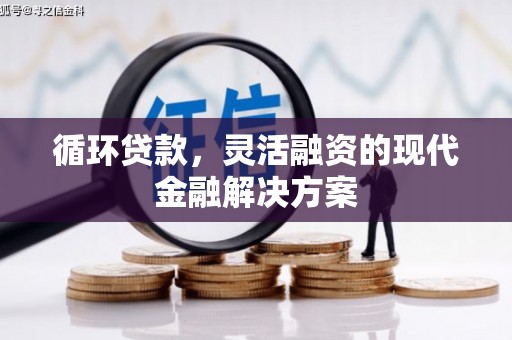 理县循环贷款，灵活融资的现代金融解决方案