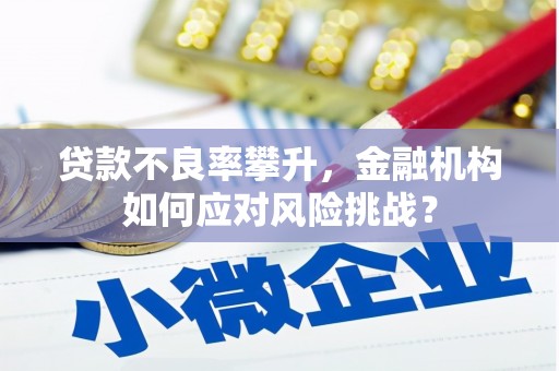 根河贷款不良率攀升，金融机构如何应对风险挑战？