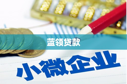 成武蓝领贷款