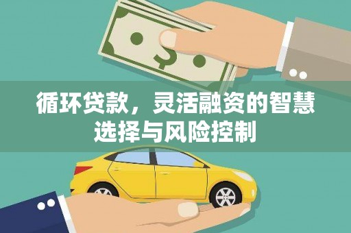 浦口循环贷款，灵活融资的智慧选择与风险控制