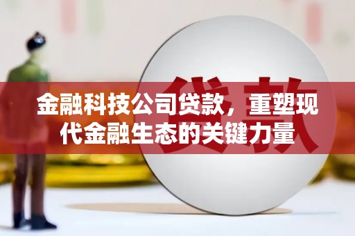 孙吴金融科技公司贷款，重塑现代金融生态的关键力量