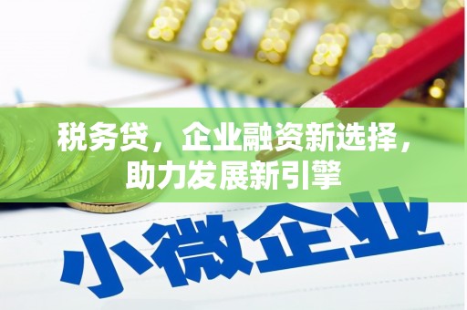 布尔津税务贷，企业融资新选择，助力发展新引擎
