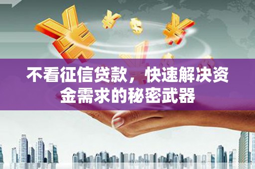 漳平不看征信贷款，快速解决资金需求的秘密武器
