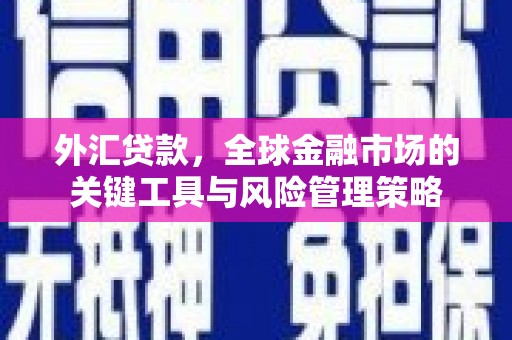 明溪外汇贷款，全球金融市场的关键工具与风险管理策略