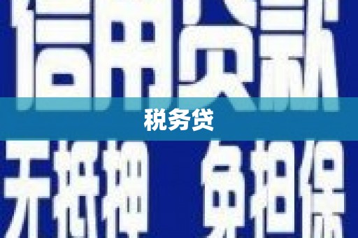 恒山税务贷