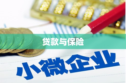 泸西贷款与保险