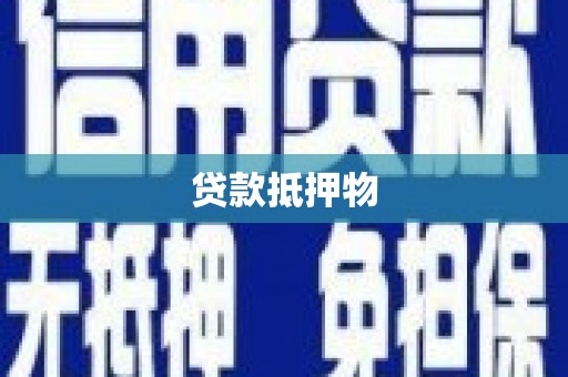 聂拉木贷款抵押物