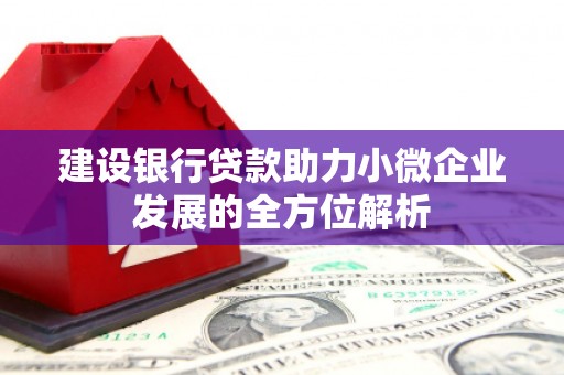西屿建设银行贷款助力小微企业发展的全方位解析